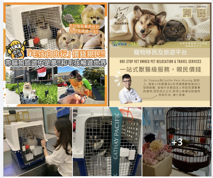 Choicee 報導 Canlife Pets Moving 寵物移民服務