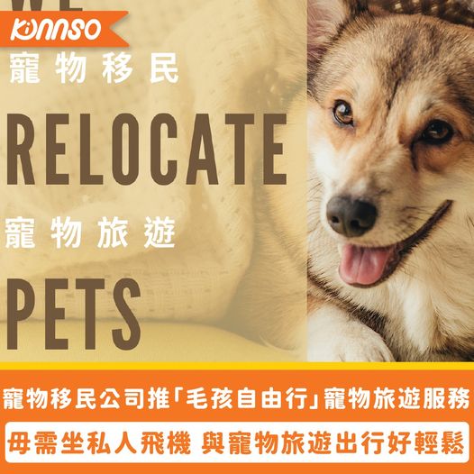 Kinnso 報導 Canlife Pets Moving 寵物移民服務