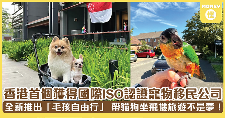 Money慳 報導 Canlife Pets Moving 寵物移民服務